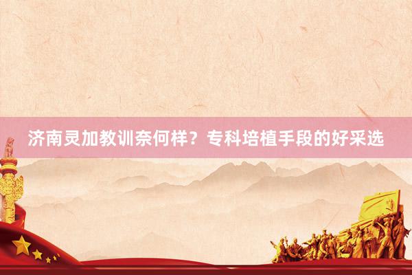 济南灵加教训奈何样？专科培植手段的好采选